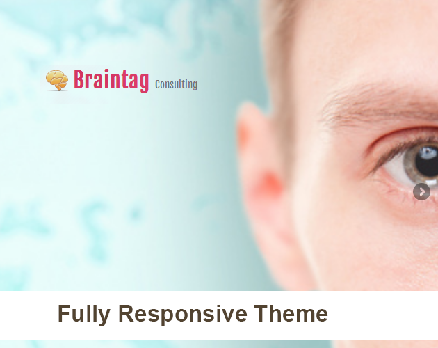 Braintag - Fully Responsive Theme